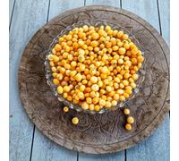 Aji Charapita Peach Chilli Seeds - 10 Fresh Seeds