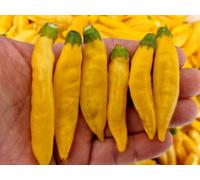 Aji Pineapple Chilli Seeds - 10 Fresh Seeds