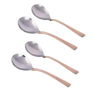 Ajuny Copper Stainless Steel Serving Spoons Set of 4 with Hammered Handles