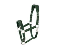 AK Feather Soft Padded Horse Head Collar - Extra Comfort Padding, Adjustable Curb & Poll Straps - Gentle, Durable & Secure Halter for Horses AKRS-6070-01 (Forest Green, Cob/ (M))