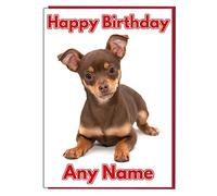 AK Giftshop Personalised Birthday Card - Brown Chihuahua Dog - ADD A NAME AND AGE