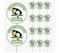 AK Giftshop Personalised Snooker Pool Player Birthday Food & Cupcake Toppers Picks Flags Party Decorations - (pack of 14)