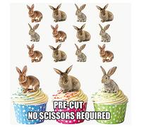 AK Giftshop PRE-CUT Cute Bunny Rabbit Mix - Edible Cupcake Toppers/Cake Decorations (Pack of 12)