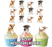 AK Giftshop PRE-CUT Cute Chihuahua Puppies - Edible Cupcake Toppers/Cake Decorations (Pack of 12)