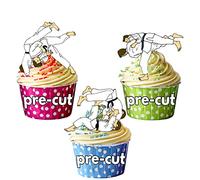 AK Giftshop PRE-CUT Karate Martial Arts Moves Mix - Edible Cupcake Toppers/Cake Decorations (Pack of 12)