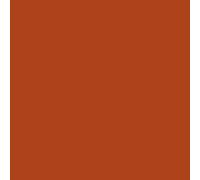 AK Interactive 11278 Beast Brown COLOR PUNCH 17ml Acrylic Model Paint