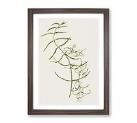 Aka Kiore Parsonsia Rosea Flowers By Sarah Featon Vintage Framed Wall Art Print, Ready to Hang Picture for Living Room Bedroom Home Office Décor, Walnut A3 (34 x 46 cm)