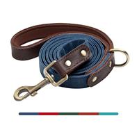 AKAILEA Stylish PU Leather Dog Leash, 5ft by 3/4in Dog Leashes for Small Medium Dogs, Soft Padded Handle & Easy to Clean, Fashionable Pet Lead for Walking Running Training, Blue