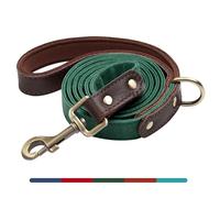 AKAILEA Stylish PU Leather Dog Leash, 5ft by 3/4in Dog Leashes for Small Medium Dogs, Soft Padded Handle & Easy to Clean, Fashionable Pet Lead for Walking Running Training, Green