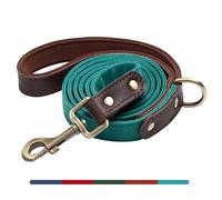 AKAILEA Stylish PU Leather Dog Leash, 5ft by 3/4in Dog Leashes for Small Medium Dogs, Soft Padded Handle & Easy to Clean, Fashionable Pet Lead for Walking Running Training, Light Blue