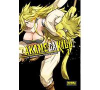 Akame ga kill! 3