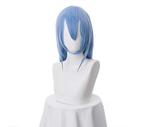 Akame Ga KILL! Jaegers Esdeath Cosplay Wig Long Straight Blue Wig Heat Resistant Synthetic Hair + Wig Cap Halloween Party Props