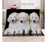 AKATIE Golden Retriever Blanket Microfiber 3D Printed Throw Blanket Cute Puppy Cozy Soft Warm Plush Chair Couch Blankets for Kids Girls Boys Teens Travel Blanket 130 x 150 cm