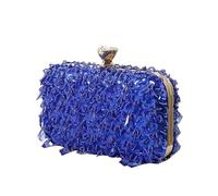 AKDJGFP Rhinestone Bags Diamonds Beaded Wedding Chain Shoulder Clutches Plastic Embroidery Party Dinner Purse Tassel Women Evening Bags