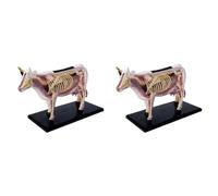 Akfldms 2X Animal Organ Anatomy Model 4D Cow Intelligence Assembling Toy Teaching Anatomy Model Cow Assembled Model Animal