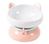 Akfldms Ceramic Tilted Elevated Cat Bowl for Small Dogs Raised Cats Water Food Bowl Feeding Bowl Feeder Kitten Pet Bowls Orange