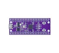 Akfldms W806 MCU Chip Core Board with Enhanced Touch and Peripheral System Integration IoT Flat Low-Power MCU Development Board
