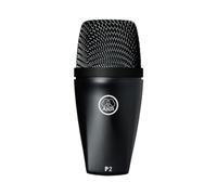 AKG P2 High-Performance Dynamic Bass Microphone,Black