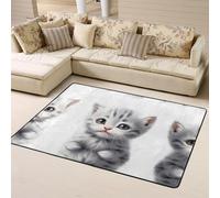 AKGFFDS Anti-slip floor mat carpet 63x48in Poor little gray cat Printing good water absorption suitable for kitchen, bathroom and living room