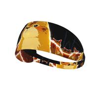 AKGFFDS Cat looking up Printing Elastic Exercise Headband Sports Head Tie for Men and Women, Soft, Quick-Dry