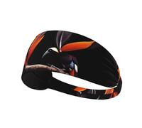 AKGFFDS Colorful bird of paradise Printing Elastic Exercise Headband Sports Head Tie for Men and Women, Soft, Quick-Dry