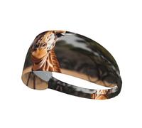 AKGFFDS Cute giraffe Printing Elastic Exercise Headband Sports Head Tie for Men and Women, Soft, Quick-Dry