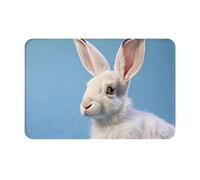 AKGFFDS Doormat floor mat 16x24in goat-antelope Printing water-absorbent Anti-slip, for front doors, entrances, and bathrooms