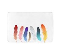 AKGFFDS Doormat floor mat 16x24in Seven-root colored feathers Printing water-absorbent Anti-slip, for front doors, entrances, and bathrooms