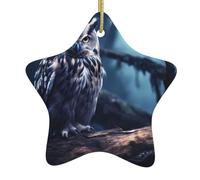 AKGFFDS Late Night Owl Printing Christmas Ceramic Star Pendant Festive and Creative Decoration Easy to hang