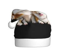 AKGFFDS Three little corgi Printing Christmas Hat for Adult material is soft and lightweight