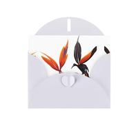 AKGFFDS White Holiday greeting check blank card and pearl beautiful blank note block Colorful bird of paradise Printing