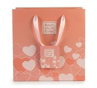 AKH® Best Mum Ever Gift Bag 18x23cm | Medium Mother's Day Present Bag with Ribbon Handles | Strong Cardboard Floral Design for Birthdays & Special Occasions | Single Pack