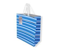 AKH® Father's Day Medium Luxury Paper Gift Bag With Tag - 22 x 10.1 x 27cm (Blue Striped)