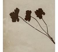 Akira Kosemura - Trio [Japan CD] SCH-40