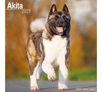 Akita 2027 Calendar | Square Wall Calendar | Dog Breed Gift | Plastic Free Packaging | by Avonside Publishing