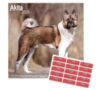 Akita Calendar 2026 | Square Dog Breed Wall Calendar | 16 Month Wall Calendar | September 2025 To December 2026 | With Free Organisational Stickers