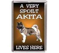 Akita Dog Fridge Magnet "A Very Spoilt Akita Lives HERE"