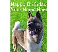 Akita Dog hs38 in The Garden Fun Cute Happy Birthday A5 Personalised Greeting Card Posted by US Gifts for All 2016 from Derbyshire UK