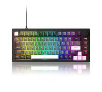 Akko 5075 V3 Wired Mechanical Keyboard, 75% QWERTY Gasket Mount Gaming Keyboard Programmable with RGB Backlit Hot-swappable Frost Pink Switch, Black & Silver