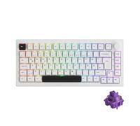 Akko 5075B Plus Gasket Mechanical Keyboard, 3-Mode, ISO-DE/UK/Nordic Layout, 75% RGB Gaming Keyboard, Hot-Swappable, PBT Keycaps, VIA Programmable (Black on White, V3 Purple)