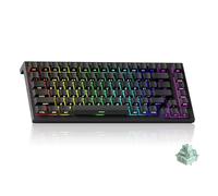 Akko TAC75 Rapid Trigger Wired Gaming Keyboard, Hall Effect Magnetic Switch, 75% US Layout, 8K Hz Polling Rate, PBT Keycaps (Shine Through Black, Glare Magnetic Switch)
