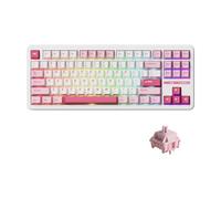 Akko TAC87 Wired Mechanical Keyboard, 88-key 80% TKL US Layout, Prunus Lannesiana Hot-Swappable Gaming Keyboard, with PBT Cherry Profile Keycaps (Stellar Rose Switch)