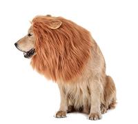 AKLOSIPY Dog Mane Costume Pet Head Cover with Tail for Halloween Christmas Show - Fun and Comfortable!
