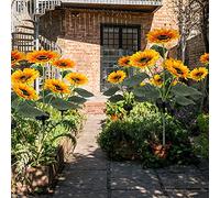 AKLOSIPY Outdoor Solar Garden Stake Lights - Decorative Sunflower LED Light for Patio and Backyard Delight (yellow)