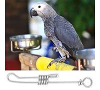 AKLOSIPY Pet -Flying Training Stainless Steel Foot Chain Anklet for Birds -, Safe, and User-Friendly Design