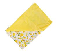 AKLOSIPY Soft and Warm Reptile Sleeping Bag for Bearded Dragon and Leopard Gecko with Removable Pillow (#3)