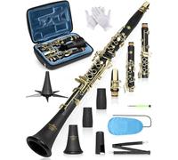 AKLOT B Flat Concert Clarinet: Precision Tone Hole Design for Stable Intonation, Durable Ancient Bronze-Style Keys, with Scratch-Resistant Case, Barrel, Stand, Cork Grease, Cleaning Kit(Aria-ABV)