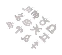 AKOOSY 12pcs Twelve Charms Stainless Steel Pendant Diy Necklace Pendants for Handmade Necklaces Constellation Charms