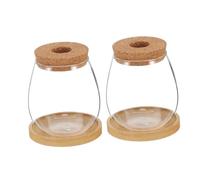 AKOOSY 2 Sets Hydroponic Planter Borosilicate Glass Vases with Bamboo Saucer Clear Decorative Propagation Station for Indoor Herb Growing Shock Resistant Micro Landscape Display for