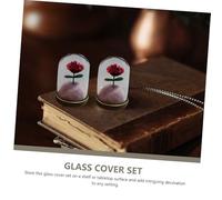 AKOOSY 5 Sets DIY Micro Landscape Glass Dome with Clear Bell Jar and Vintage Tray Miniature Cloche Craft Display for Home Decor Tabletop Ornament with Smooth Surface for Easy Cleaning